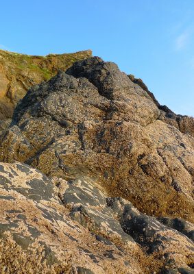 Rocks at Polurrian Cove