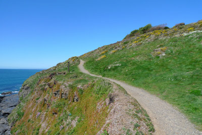 Coastal Path at Meres Cliff