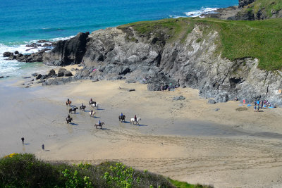 Horses at Polurrian Cove