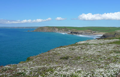 Church Cove and Coast from Poldhu