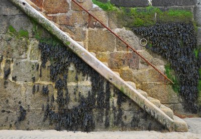 Quayside Steps at St. Ives