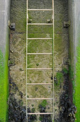 Quayside Ladder