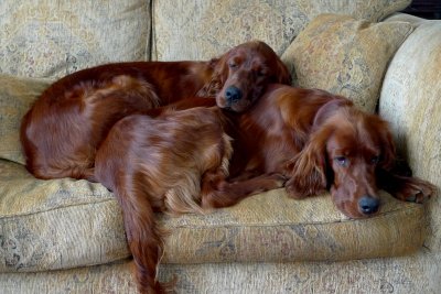 Thomas and Rudhi on the Sofa