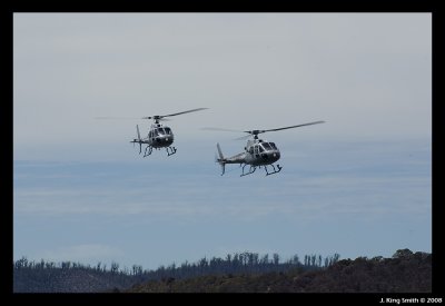 Squirrel helecopter formation