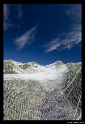 Netting