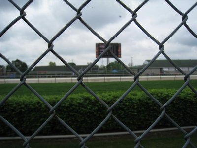 IMG_4127 (Large).JPG