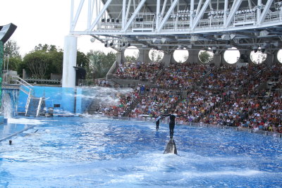 Sea World