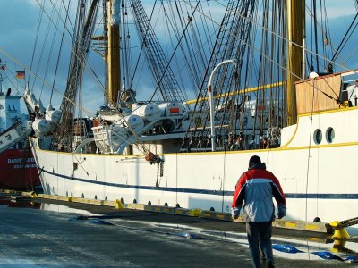 Gorch Fock   Reykjavkurhfn