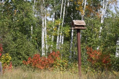 g1/10/697110/3/103724255.vLAxnYOs.jpg