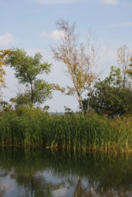 Mille Lacs Lake Shoreline