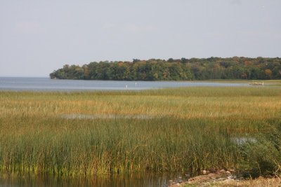 Mille Lacs Lake Shoreline