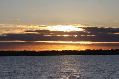 Sunset with Sandhill Cranes Coming In For the Night