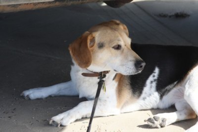 Miz Winnie at the Beach