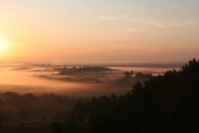 Morning Mist