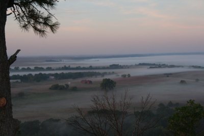 Overlooking the Refuge On A Misty Morning