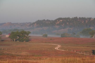 Misty Morning on the Refuge