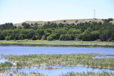 Hackberry Lake