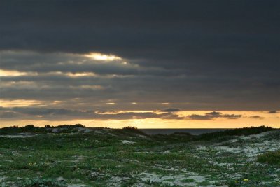 Mc Grath State Beach