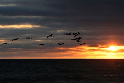 Mc Grath State Beach