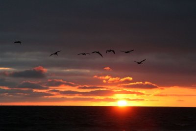 Mc Grath State Beach