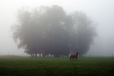 6 - Waiting for the early morning ride
