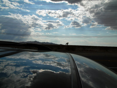 road trips