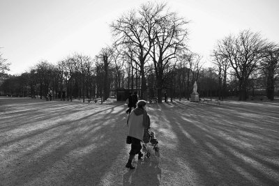 Morning Stroller