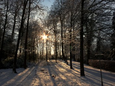 contre-jour1.jpg