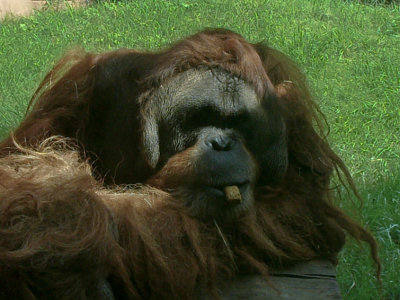 L1000220s.jpg