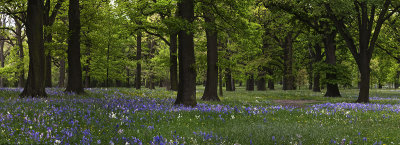 g1/10/753610/3/105206665.F4XgZTD9.jpg