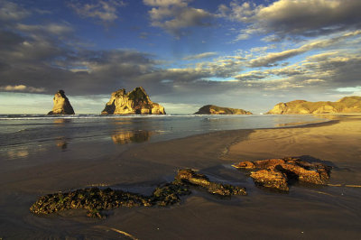 Evening light at Whararaki Beach, Golden Bay, Nelson