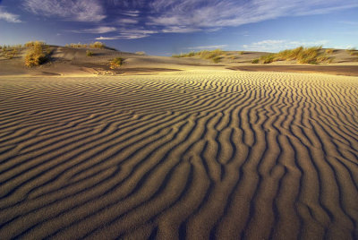 Ripples in the sand, Farewell Spit, Golden Bay, New Zealand
