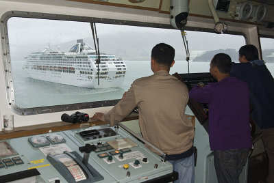 Ship spotters, Lyttelton, New Zealand