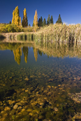 Autumn Reflections, Otematata, Canterbury, New Zealand