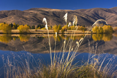 Autumn at Lake Ruataniwha, Canterbury, New Zealand