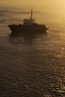 A tug in the morning, Lyttelton, Canterbury, New Zealand