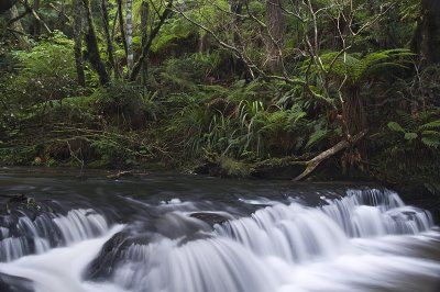 Purakaunui River, Catlins, Otago