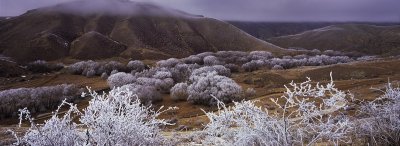 Panorama of hoar frost in Lindis Valley, Otago, New Zealand