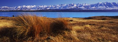 Panorama of Lake Pukaki, Ben Ohau Range and tussocks, Canterbury, New Zealand
