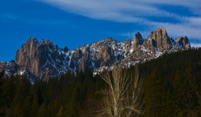 The Everyday Beauty Of Nature