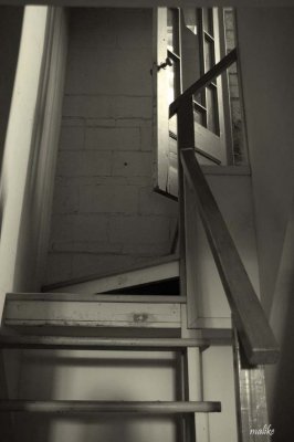 DSC_3774.jpg