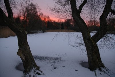 Winter sunrise, Lake Stadium