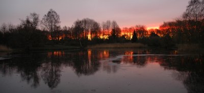 Winter sunrise panorama