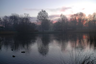 Misty morning, Lake Stadium
