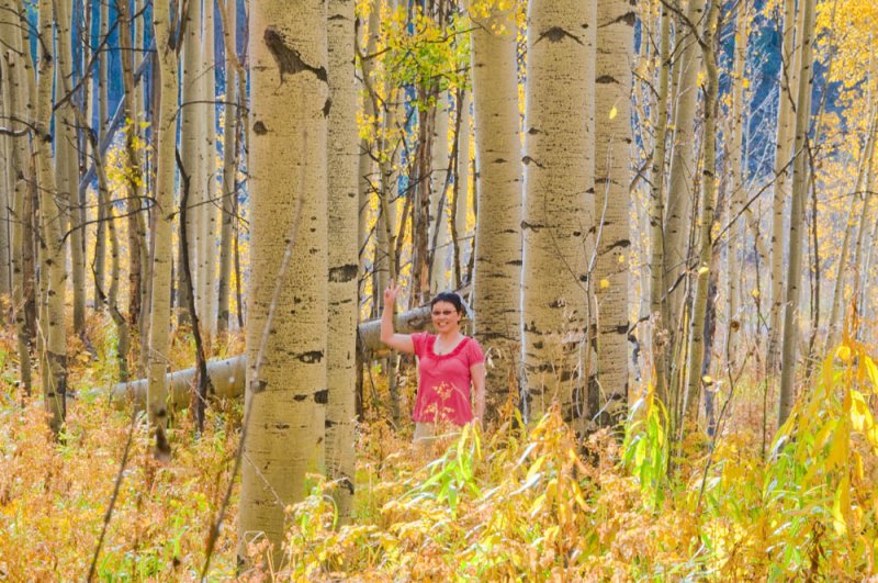 Aspens