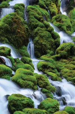 Clearwater-waterfalls-DSC_1.jpg