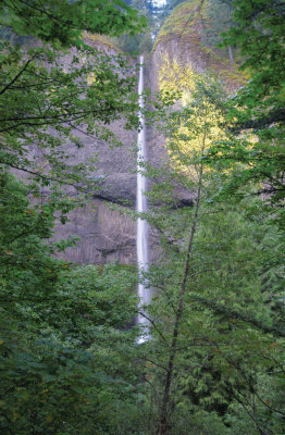 Latourell-Fall-DSC_1654.jpg