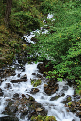 Wahkeena-Fall-DSC_1659.jpg
