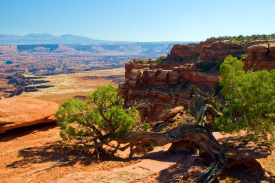 CanyonLand NearGrandView