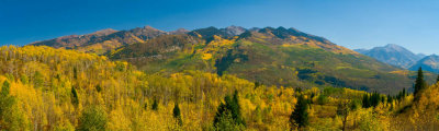 Aspens and Mountain near Crystal Mill Panorama